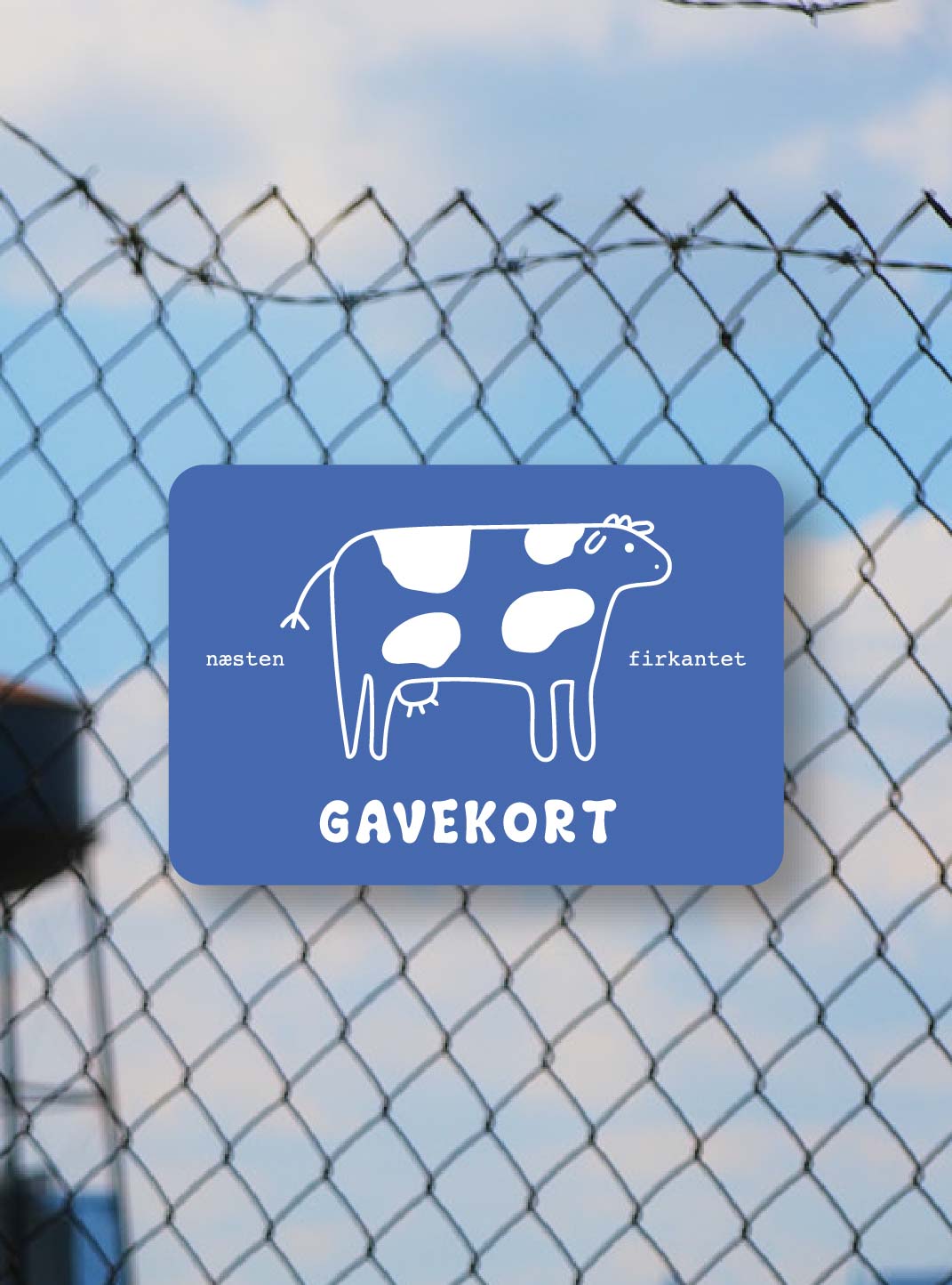 Shampoo Studio DK Gavekort